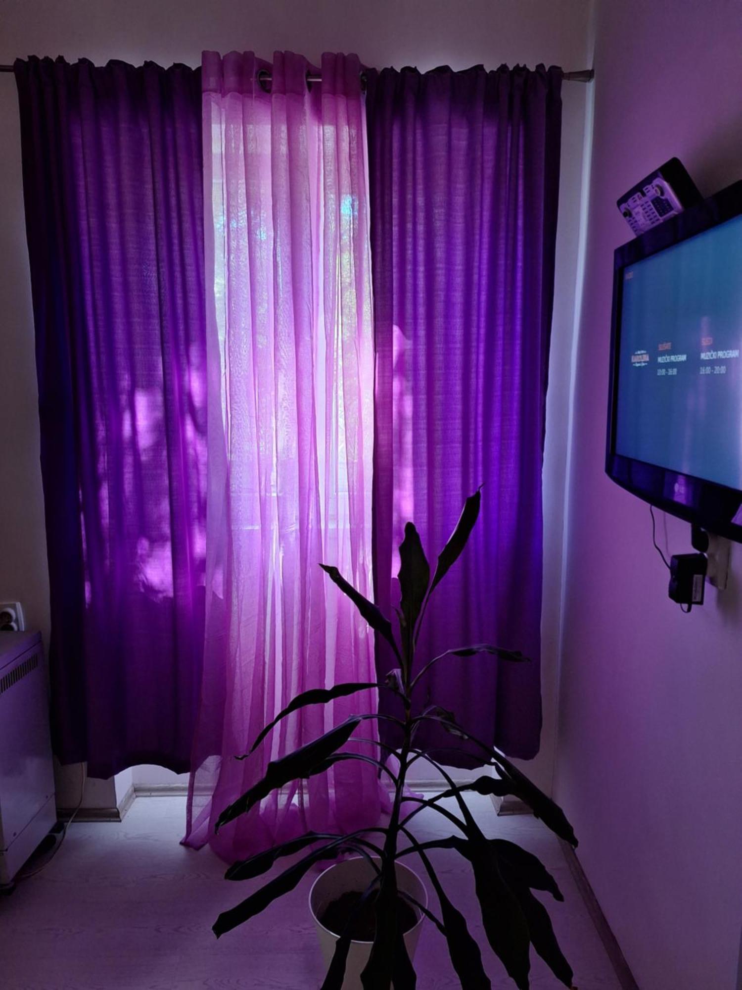 Apartman Maja Belgrade Exterior photo