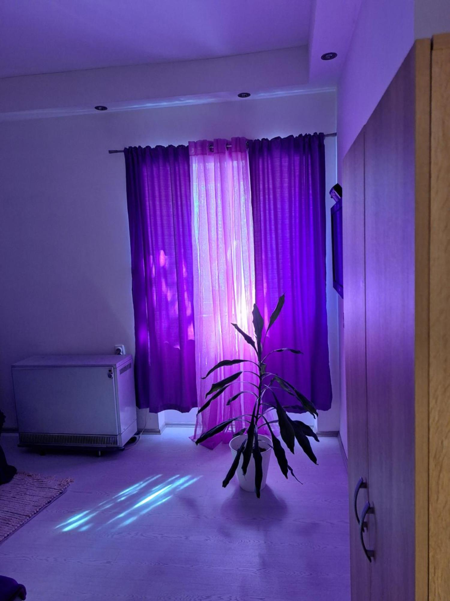 Apartman Maja Belgrade Exterior photo
